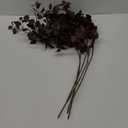 Luiywan Fall Stems for Vases - Faux Eucalyptus Stems, Artificial Silk Plants Leaf Branches Greenery, Fall Decor for Table Centerpiece, Floral Arrangement, Home, Wedding, Party (Burgundy, 5pcs, 28inch)