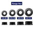 1/4-20 Serrated Flange Hex Lock Nuts 100Pcs 304 Stainless Steel 18-8, Full Thread, Hex Drive, Bright Finish, Black Oxide by SG TZH