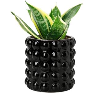 DILATATA 6 Inch Ceramic Planter Pot for Indoor Plants with Drainage Hole Bubble Flower Planter Hobnail Plant Pot Garden Planter Black Succulent Plant Pot Utensil Holder