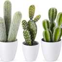3 Pcs Artificial Cactus Plants 9-11'' Fake Cactus Potted Decor No Maintenance Faux Succulent Cacti Nordic Style Decor for Home Office Desk Shelf Living Room Indoor Housewarming Gifts