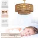Boho Caged Fandelier with Lights Flush Mount Rattan Ceiling Fan with Lights and Remote Control, Enclosed 6 Speeds Low Profile Fan Light for Bedroom, Living Room, Kitchen, Medium