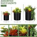 Artificial Succulents 3 Pack - UV Resistant Faux Plants with Pots for Indoor Outdoor Decor - Lifelike Small Fake Potted Plants for Home Office Desk Bathroom Bedroom Shelf Aesthetic