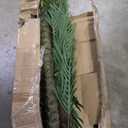 Artificial Palm Tree for Outdoor 10ft UV Resistant Fake Palm Tree Tall Fake Tropical Golden Cane Palm Plant Large Faux Palm Tree for Outside Patio, Poolside, Lawn and Indoor Decor, Set of 1