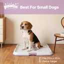 Pawise Dog Pee Pad Holder for Puppy, Puppy Pad Holder Tray, Pet Training Pee Pad, Indoor Potty Tray for Senior Dogs, Dog Toilet for Newborn Puppies, 23.5" x 23.5"，Purple