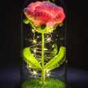 Handmade Crochet Rose Gifts Flower in Glass Dome with LED Light