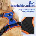 rabbitgoo Dog Harness No Pull with 2 Leash Clips, Adjustable Soft Padded, Reflective Oxford No Choke Pet Vest with Easy Control Handle for Medium Sized Dogs, Blue & Orange, M