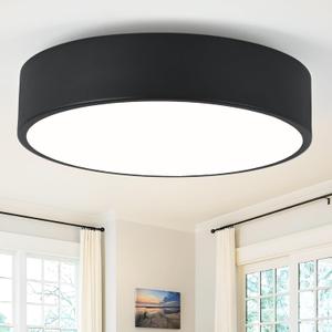 Modern Flush Mount 2-Light Round Black Ceiling Light Fixture, Minimalistic Acrylic Shade Lighting for Bedroom, Laundry Room, Foyer, Hallway (11.8")