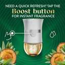 Air Wick Scented Oils 0+5 White Sage & Mahogany