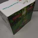 Clear Window Bird Feeder with 4 Strong Suction Cups & Decorative Lawn Top - Ideal for Garden/Yard Decor, Elderly & Kids Bird Watching, Unique Gift for Nature Lovers (Transparent&Green)