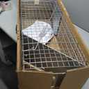 HAVAHART 1079SR Large 1-Door Humane Catch and Release Live Animal Trap Cage - Live Raccoon Trap, for Bobcats, Beavers, Dogs, & More