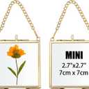 JUXYES 2 Pack Wall Hanging Mini Brass Glass Ornament Frames, Square Floater Picture Artwork Display Frame, Double Glass Floating Tiny Frames Gallery Wall Frame for Photo, Picture, Pressed Flower, Gold