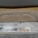 Tecdigbo Baby Bottle Drying Rack, Countertop Bottle Dryer, Cup Drying Rack, for 12Pc Bottles and Accessories,Pump Parts,Pacifiers,for Small Water Cup,Vitality Blue, Free Small Brush for Cleaning