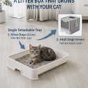 Medario Cat Litter Box with Litter Mat and Scoop, Large Covered Litter Box with Lid, Enclosed Kitty Box, Front Entry Top Exit, Odor Control, Easy to Clean (Grey)