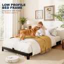 Twin Bed Frame, 4 Inch Low Profile Metal Platform Bed Frame with Round Legs