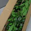 37.8" Artificial Greenery Stems for Tall Vase, Faux Stems and Branches for Vase, Fake Greenery Stem Artificial Greenerys for Centerpieces, Home, Office, Room Table Decor, Floral Arrangements, 3Pcs