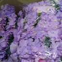 16 Pcs Purple Artificial Flower Wall Panels, Realistic Silk Floral Backdrop with Tiered Petals, 13.8 x 13.8 in for Wedding Decor, Romantic Event Decor, Photo Booth Backgrounds