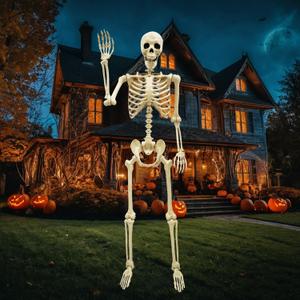 Life Size Skeleton for Halloween: 5.4ft Realistic Human Skeleton, 165cm