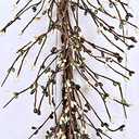 Pip Garland 4Ft Coffee Bean