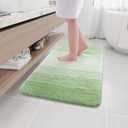 Arotive Microfiber Bathroom Rugs, Shaggy Soft and Absorbent Bath Rug, Non-Slip, Thick Plush Machine Washable Dry Bath Mats for Bathroom, Tub and Shower, 36x24, Sage Green, Rectangular