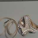 AIITLE Tiny Dog Harness - Lightweight Mesh Step-in Vest for Puppy, Reflective & Escape-Proof Design with High-Stick Magic Tape - Indoor/Outdoor Use for Chihuahua, Maltese, Shih Tzu(Brown-Beige, XXXS) (XXXS(Chest: 8.5 - 10"))