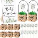 Geetery 101 Pcs Succulent Baby Shower Party Favor 1 Wooden Table Sign 50 Tags and 50 Kraft Succulent Pots for Guest Baby Shower Favors Gifts(Girl)