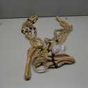 3 Pcs Macrame Plant Hangers,Indoor Different Size Hanging Planter Basket Flower Pot Holder with Beads,No Tassels Hanging Planter Basket with Wood Beads for Indoor Outdoor Home Decor (Brown)