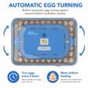 70 Egg Incubator for Hatching Eggs withAuto Turn, Temp & Humidity Control, Built-in CandleLarge Capacity Egg Incubator for Chicken Duck Goose Eggs