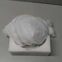 Wake Up Light Sunrise Alarm Clock for Kids, Heavy Sleepers, Bedroom, with Sunrise Simulation, Sleep Aid, Dual Alarms, FM Radio, Snooze, Nightlight, Daylight, 7 Colors, 7 Natural Sounds, Ideal for Gift (White)