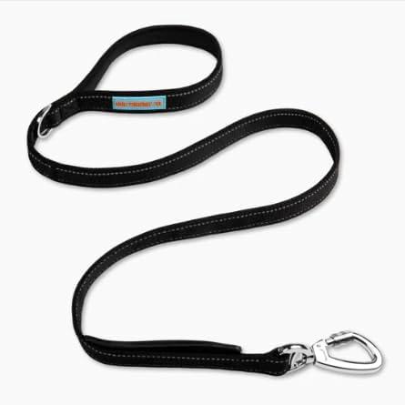 Dog Friendly Co. Classic Dog Leash | Strain-Free, Shock Resistant, Prevents Jolts, Maintain Control | Durable Waterproof Material | Heavy Duty Clip & D-Ring | Black, Size Regular