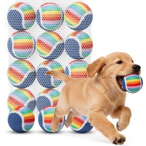 Nobleza Squeaky Tennis Balls for Dogs, 12 Pack 2.5" Floatable, Small Medium Dogs, Training, Natural Rubber, Rainbow