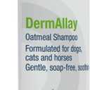 DermAllay Oatmeal Shampoo, 12 Ounce