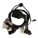 New Wiring Harness Assembly Compatible with Sur-Ron X Light Bee X Segway X260