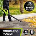 Mueller UltraStorm Leaf Blower Cordless Electric, 140 MPH 20 V Powerful Motor with 2 Batteries and Charger, 2 Speed Levels, 1hr Charge, Lightweight, Blowers for Lawn Care, Blower for Snow (Green)