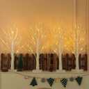Lighted Birch Tree, 4 Pack 2FT Trees Indoor, Battery Operated Artificial Tree with 24 Warm White Lights, Inside Artificial Branch for Christmas Home Wedding Decor Tabletop Decoration