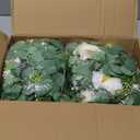 Dolicer 4Pcs 26Ft Artificial Eucalyptus Garlands with Flowers, Faux Floral Greenery Garlands Fake Flowers Vines for Wedding Centerpieces Arch Party Ceremony Backdrop Decor (Champagne)