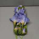 IPOPU Artificial Flowers,5PCS Blue Iris Flowers Artificial 31.1" Spring Flowers Fake Silk Flowers with Stems for Wedding Office Home Decor Indoor Decor(Blue)