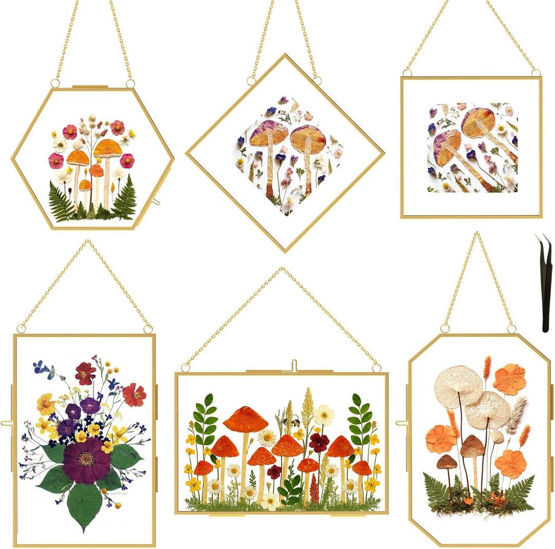 BABUFINE 6PCS Pressed Flower Frames with Tweezers, Wall Hanging Double Glass Picture Frames with Chain for Dried Flowers Plants Wall Decor,Only Frame (Gold-6PCS)