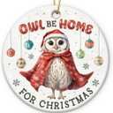 5 x Owl Ornaments for Christmas Trees - Unique Owls Gifts for Women, Men, Family, Coworker, Xmas Gifts for Owl Lovers, Animal Lover Gift for Friends Neighbors, Ceramic Bird Ornaments