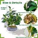 NASAMA Realistic Artificial Potted Plant, Faux Indoor Greenery for Home Office Living Room Bookshelf Bathroom Decor, Low-Maintenance Space-Saving Fake Plants with Modern Decorative Vase