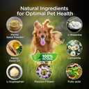 Calming Treats for Dogs  Helps Maintain Calm During Travel, Loud Noises & Routine Changes  Natural Formula, Non-Drowsy (120 Soft Chews)