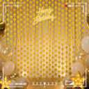 LOLStar 2 Pack Gold Stars Birthday Decorations, 3.3X6.6 ft Graduation 2026 Golden Party Backdrop Foil Fringe Curtains, Streamers Congrats Photo Booth Props for Birthday Celebration Awards Twinkle Star