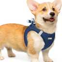 rabbitgoo Small Dog Harness, Step-in Soft Mesh Puppy Vest with Safety Buckle, Breathable Reflective Pet Harness for Small Medium Dogs, Navy Blue L