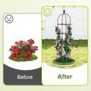 2 Pack Garden Obelisk Trellis, 70" Tall Plant Support for Climbing Vine, Metal Covered Plastic Coating Rustproof Heavy Duty Rose Trellis Indoor Outdoor(Black, 70 * 11.8 * 11.8INH*W*L)