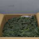 Christmas Cedar Garland Realistic - 2 Pack Cypress Decorations with Lights 6ft for Mantle Lighted Faux Pine Garlands for Xmas Home Decoration Indoor Stairs Railing Fireplace Outdoor Prelit Door Decor