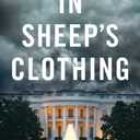 In Sheep's Clothing: An Action-Packed Political Thriller (Matthew Richter Thriller Series Book 1)