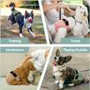 Washable Female Dog Diapers - Premium Reusable Diapers for Doggie in Heat - Highly Absorbent Dog Diapers Female for Pet Incontinence with Adjustable Snaps (Pink, XL)