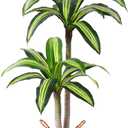 Ferrgoal Artificial Plants, 4 Ft Dracaena Tree Faux Plants Indoor Outdoor Decor Fake Tree with Woven Seagrass Basket Plants for Home Decor Office Living Room Porch Patio Housewarming