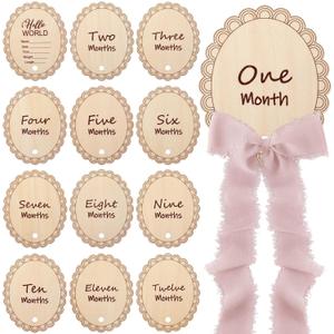 14 Pcs Wooden Monthly Baby Milestone with Ribbon Monthly Milestone Wood Discs Photo Props for Newborn Baby Girl Boy Baby Shower Gifts(Pink)