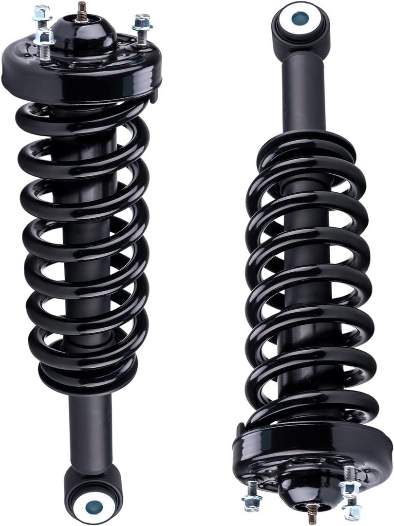 Front Struts Shock Absorbers for 2004-2008 F-150, 2006-2008 Mark LT 171362, SR4078, G57021, 11206, 1336331, LS5390281B, 4L3Z18124BB, Struts Shocks Suspension Assembly, 2Pcs