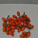 Artificial Tomato String, 2 Pack Simulation Artificial Lifelike Fake Fruits Vegetable Photography Props Home Kitchen Harvest Decoration (Red Tomato, 2pcs)